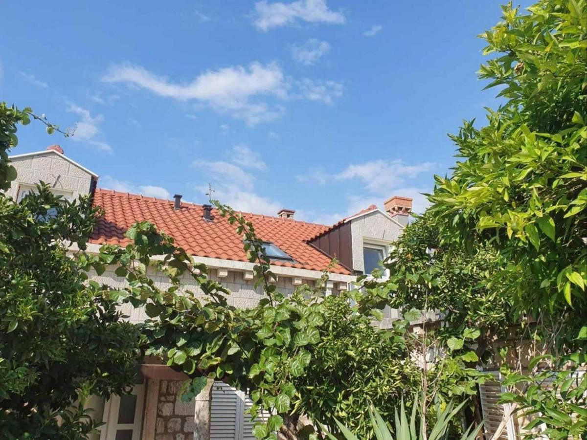 Dubrovnik Tirena公寓 外观 照片